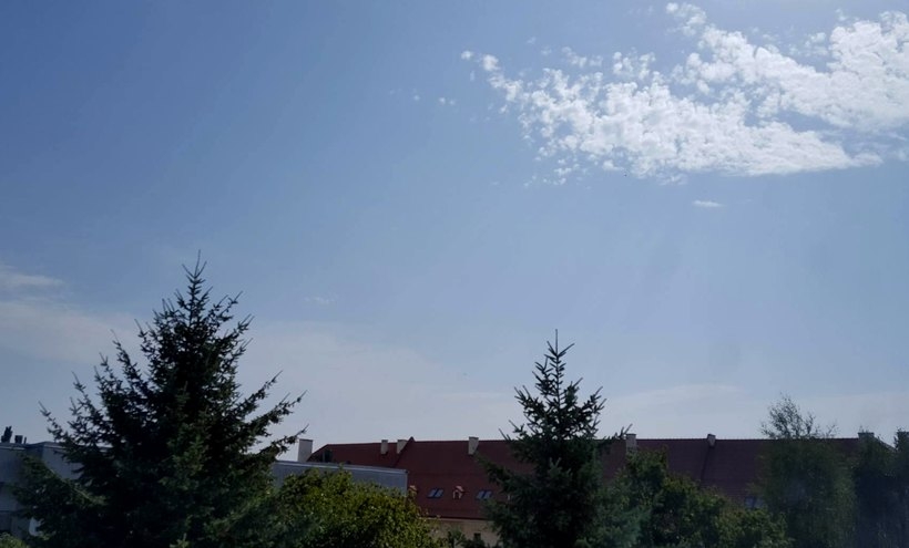 Fot. Karina Płaszczyca