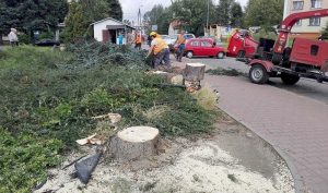 Fot. Nowiny Andrychowskie