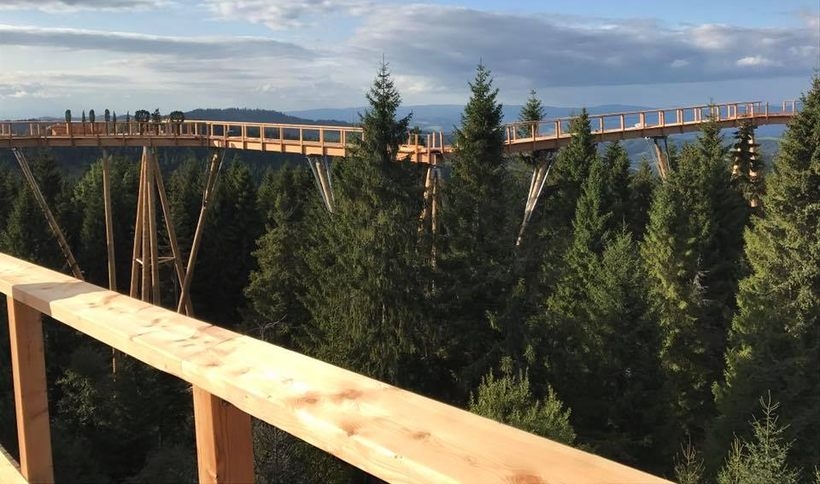 Fot. Facebook/ Chodník korunami stromov