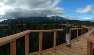 Fot. Facebook/ Chodník korunami stromov