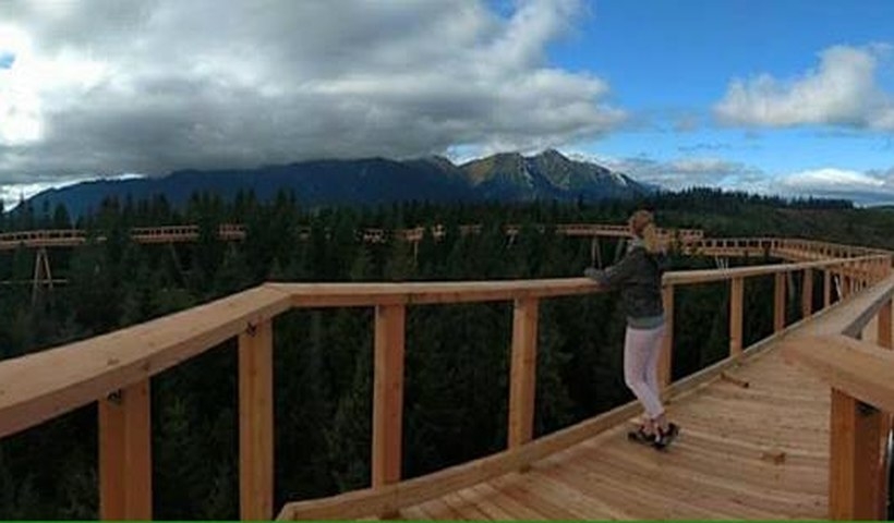 Fot. Facebook/ Chodník korunami stromov