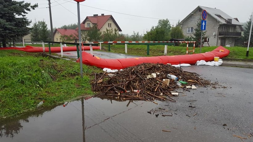 Fot. Karina Płaszczyca