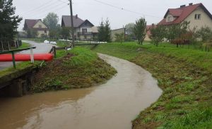 Fot. Karina Płaszczyca