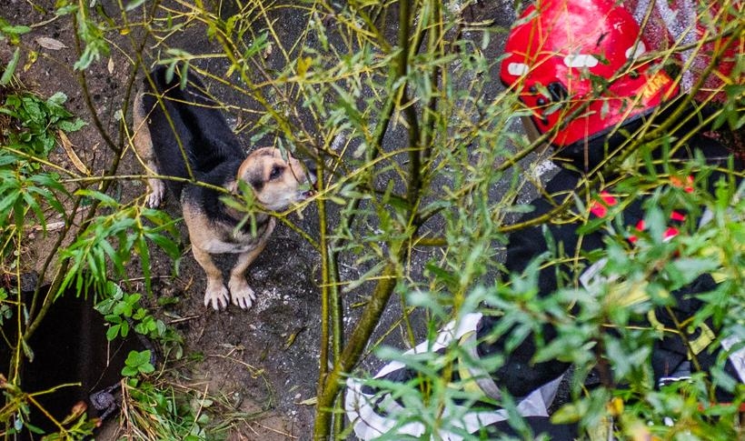 Fot. Marcin Płaszczyca