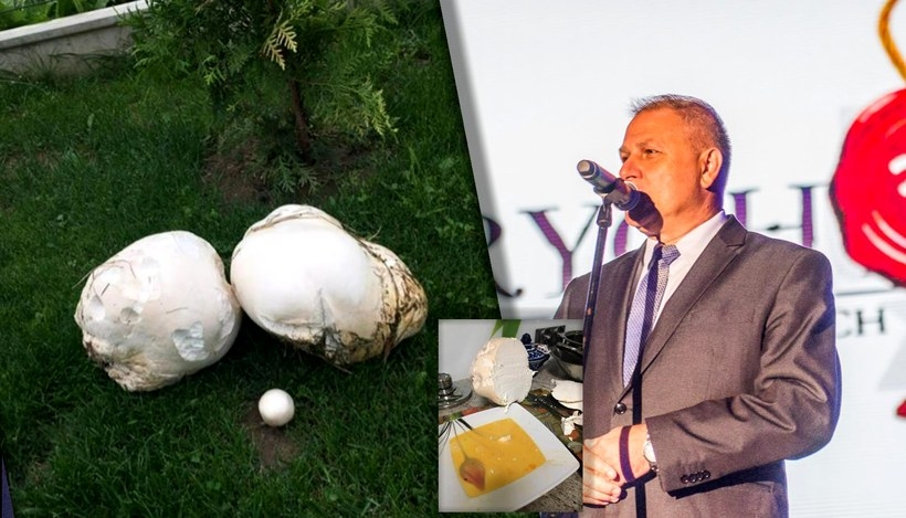 Fot. Iliustracja/facebook.pl/TomaszŻak