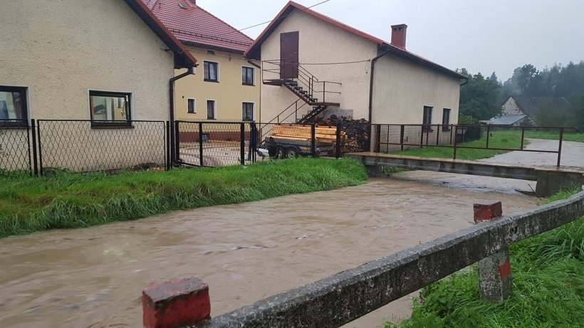 Fot. Karina Płaszczyca