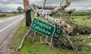 Fot. materiały prasowe Nowiny Andrychowskie