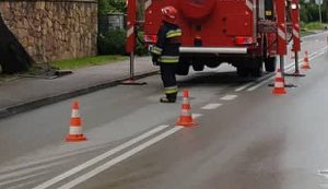 Fot. Karina Płaszczyca