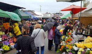 Fot. Karina Płaszczyca