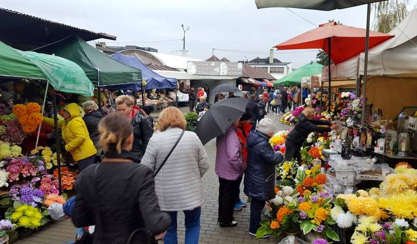 Fot. Karina Płaszczyca