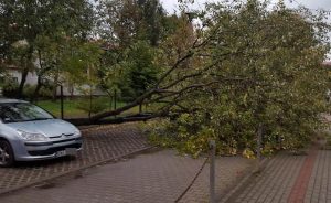 Fot. Karina Płaszczyca