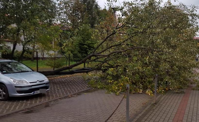 Fot. Karina Płaszczyca