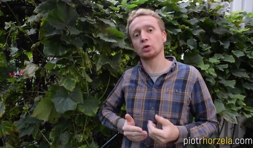 Fot. kadr z filmu na YouTube