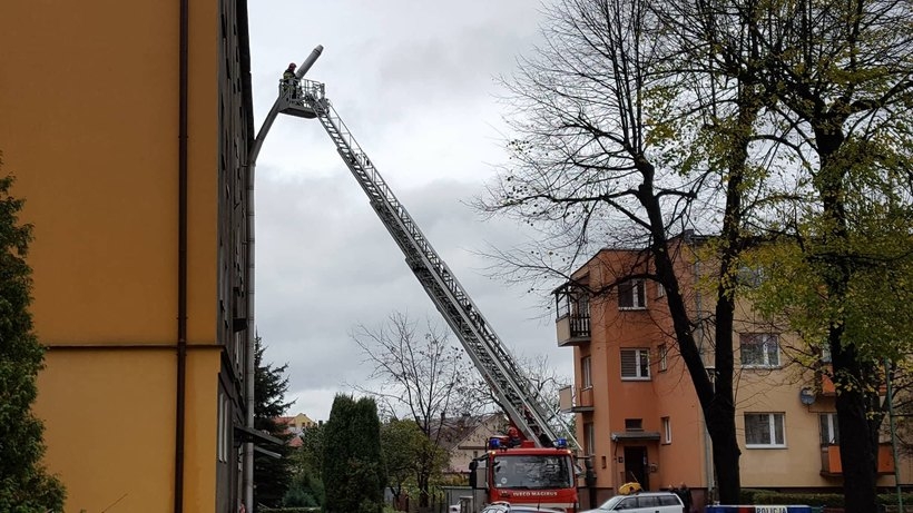 Fot. Marcin Płaszczyca