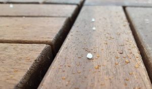 Fot. Karina Płaszczyca