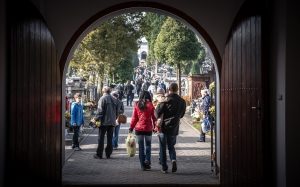 Fot. joomla.wadowice24.promo-peak.ovh