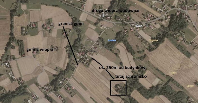 Fot. Grafika nadesłane