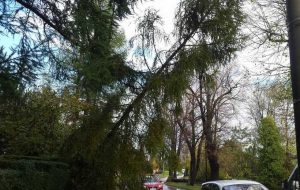 Fot. Archiwum joomla.wadowice24.promo-peak.ovh