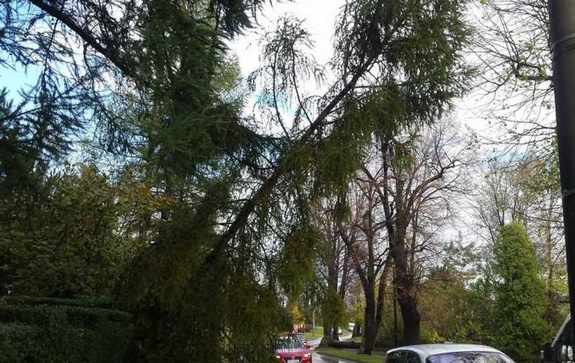 Fot. Archiwum joomla.wadowice24.promo-peak.ovh