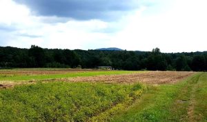 Fot. Karina Płaszczyca