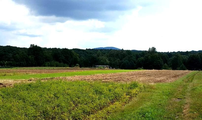 Fot. Karina Płaszczyca