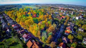 Fot. Marcin Płaszczyca