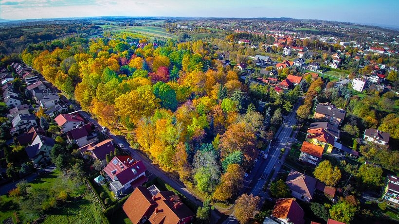 Fot. Marcin Płaszczyca