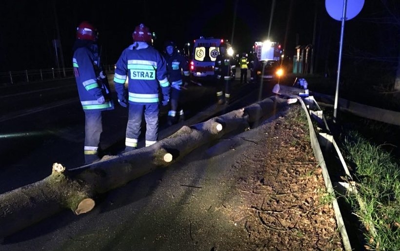 Fot. Marcin Płaszczyca