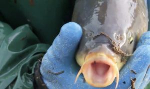 Fot. Materiały Wideo PAP