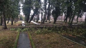 Fot. Marcin Płaszczyca