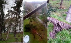 Fot. nadesłane/ #dlawadowice24