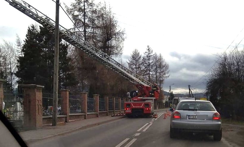 Fot. nadesłane/ K. Młocek