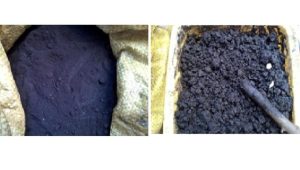 Fot. materiały prasowe Płuca Kalwarii