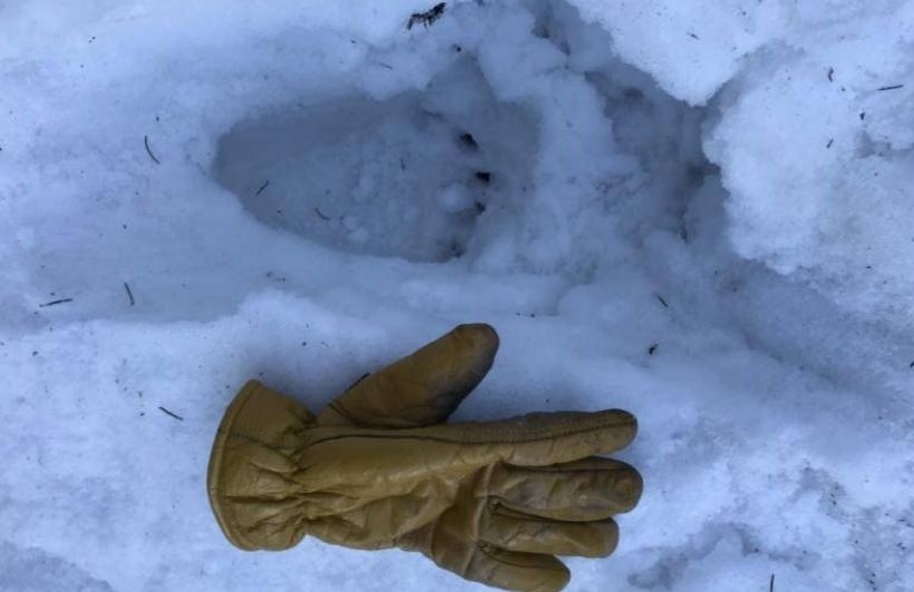 Fot. Maciej Moskwa ratownik GOPR