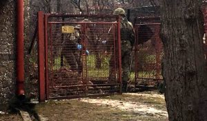 Fot. Marcin Płaszczyca