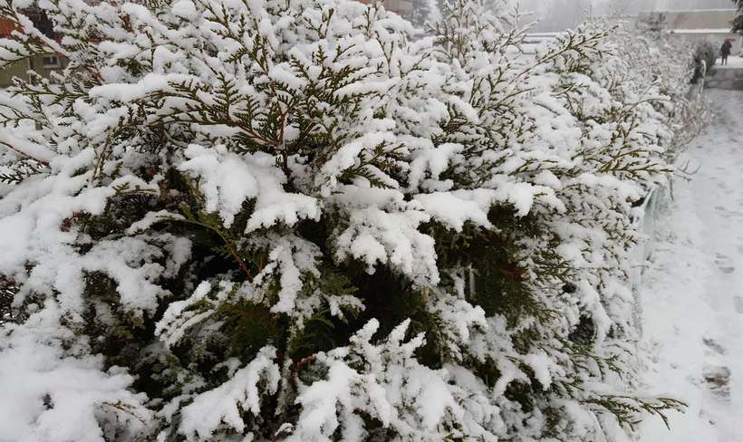 Fot. Karina Płaszczyca