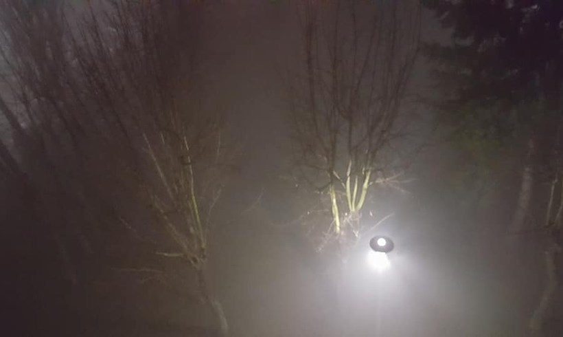 Fot. Karina Płaszczyca