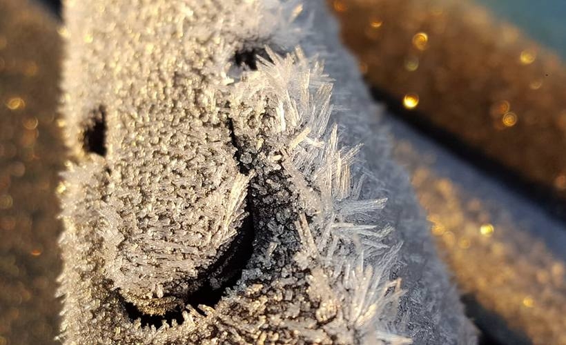 Fot. Karina Płaszczyca