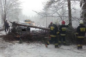 Fot. Archiwum Facebook/ OSP Targanice Górne