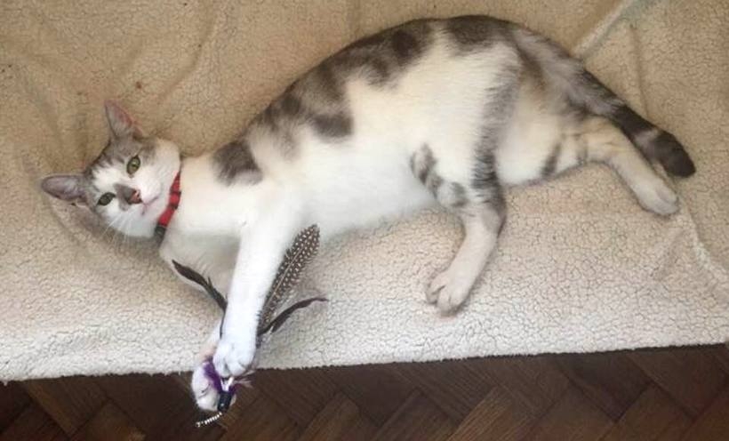 Fot. Facebook/nadesłane