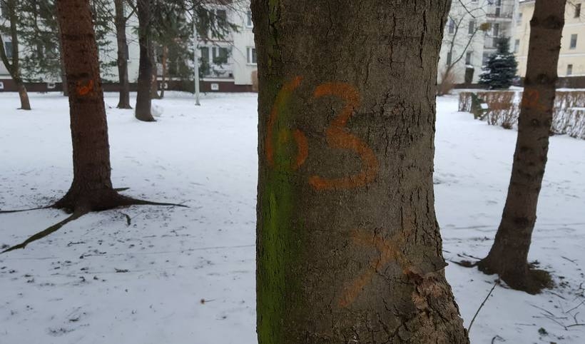 Fot. Karina Płaszczyca