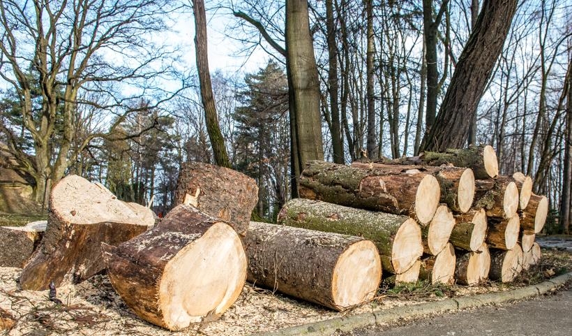 Fot. Marcin Płaszczyca