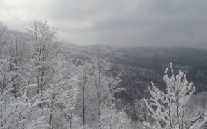 Fot. nadesłane #dlajoomla.wadowice24.promo-peak.ovh