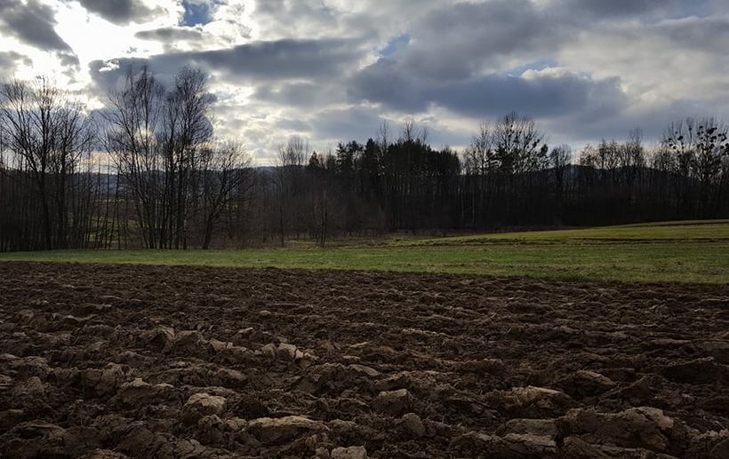 Fot. Karina Płaszczyca