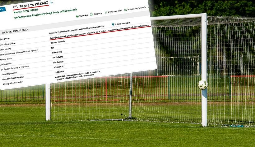 Fot. Grafika/ źródło: PUP Wadowice