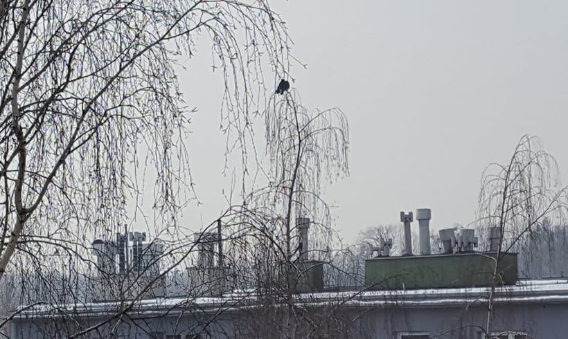 Fot. Karina Płaszczyca