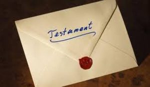 Fot. materiały promocyjne Actio