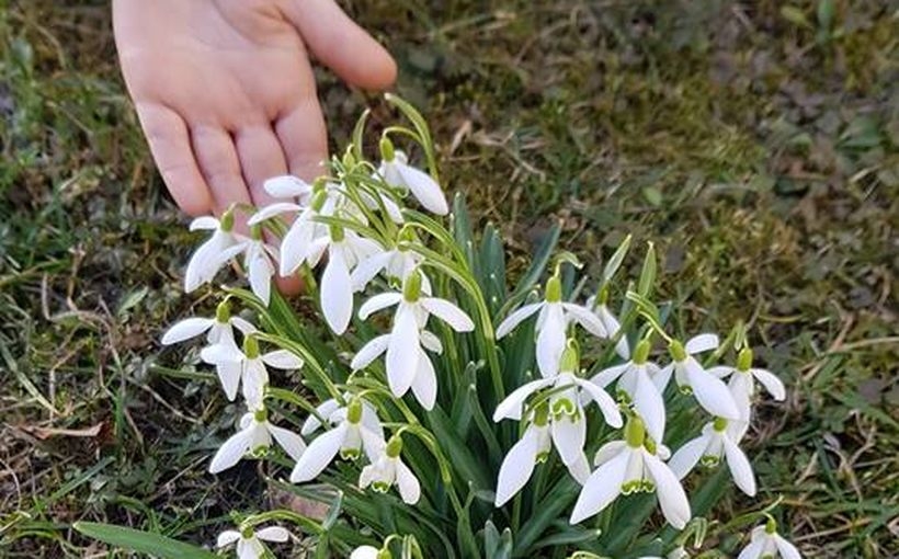 Fot. Facebook/joomla.wadowice24.promo-peak.ovh