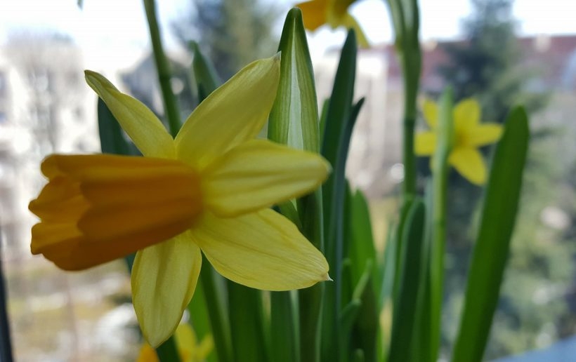 Fot. Karina Płaszczyca