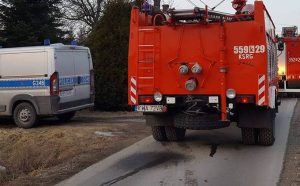 Fot. Karina Płaszczyca